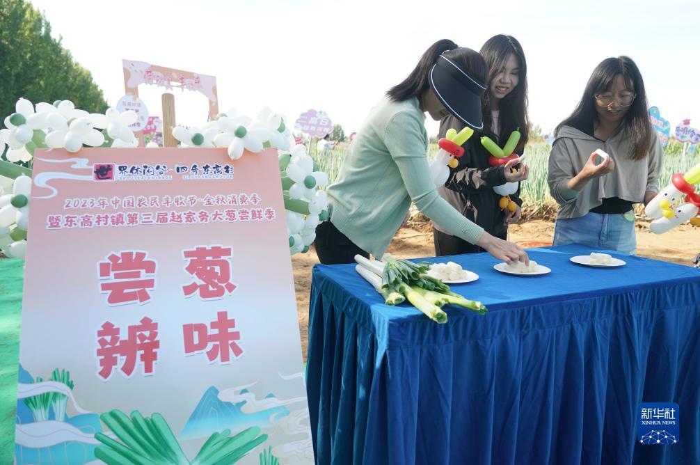 澳门新葡亰在线av